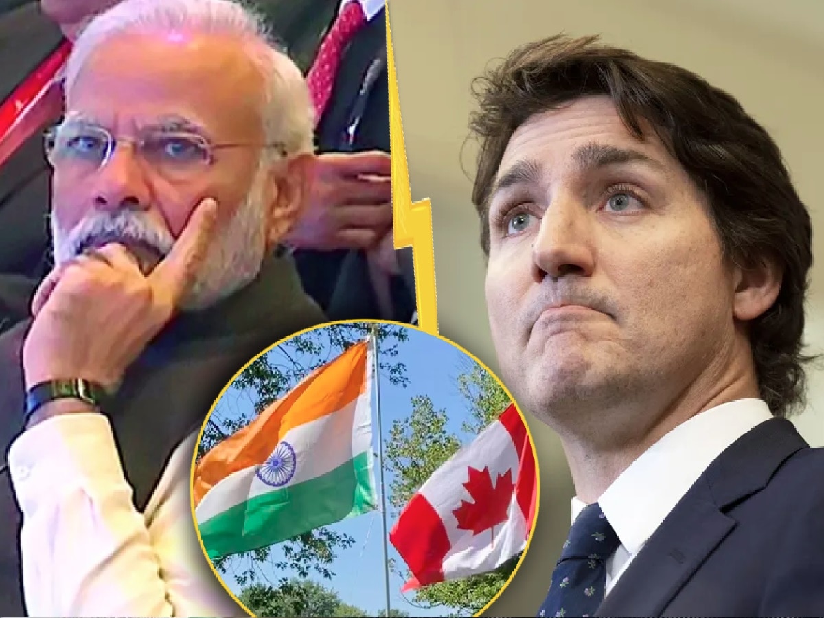 मोदी सरकारच्या दणक्यानंतर कॅनडा वटणीवर! ट्रूडो आता म्हणतात, 'कॅनडाला भारताबरोबर सध्या...' title=