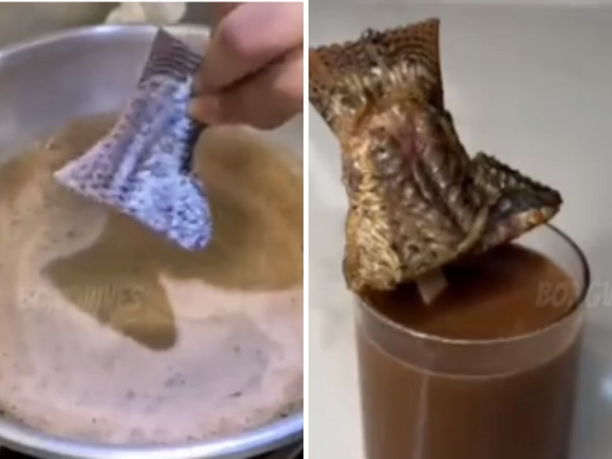  चहाप्रेमी असाल तर तुमच्या रिस्कवर पाहा Video, महिलेने उकळत्या चहात माशाचा तुकडा टाकला अन्... title=