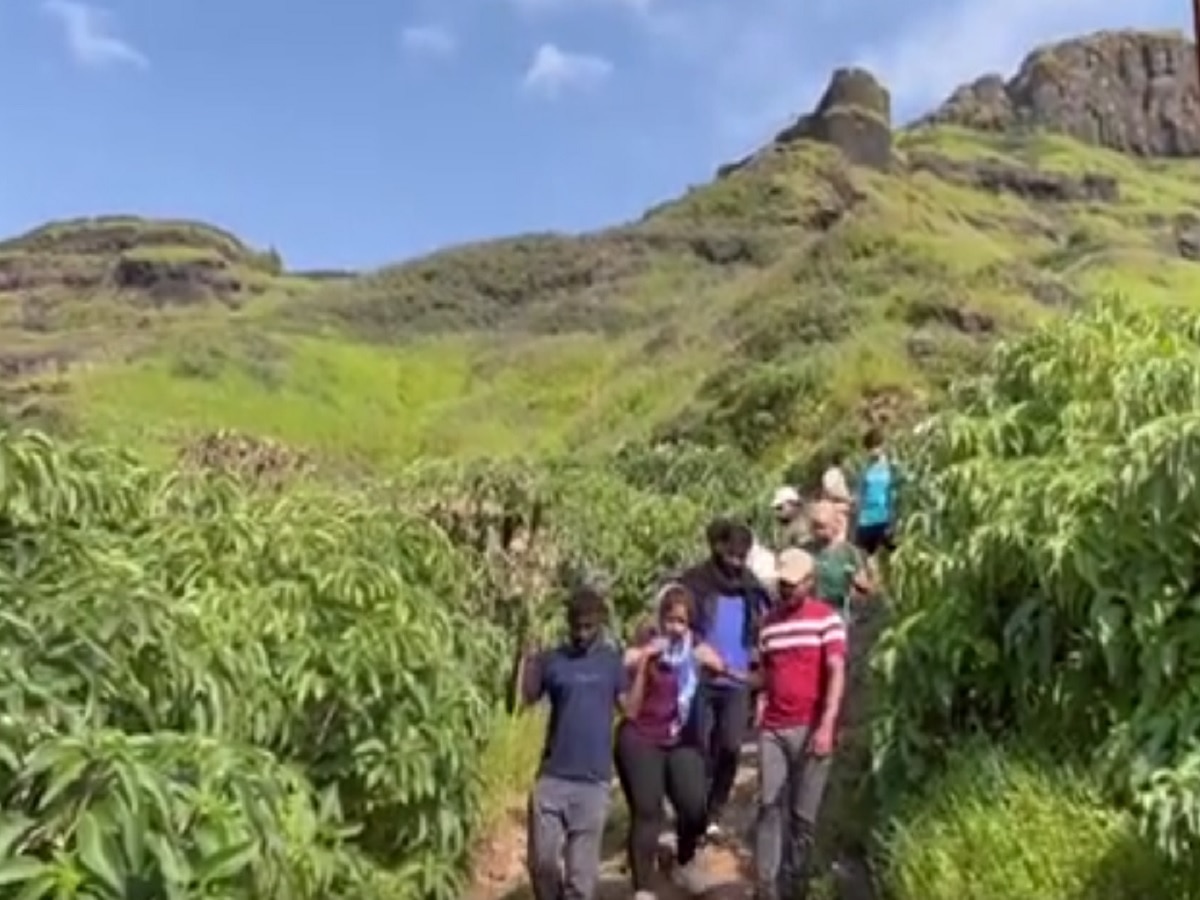 राजगड किल्ल्यावर पर्यटकांवर मधमाशांचा हल्ला; 3 जण बेशुद्ध, 35 जण जखमी