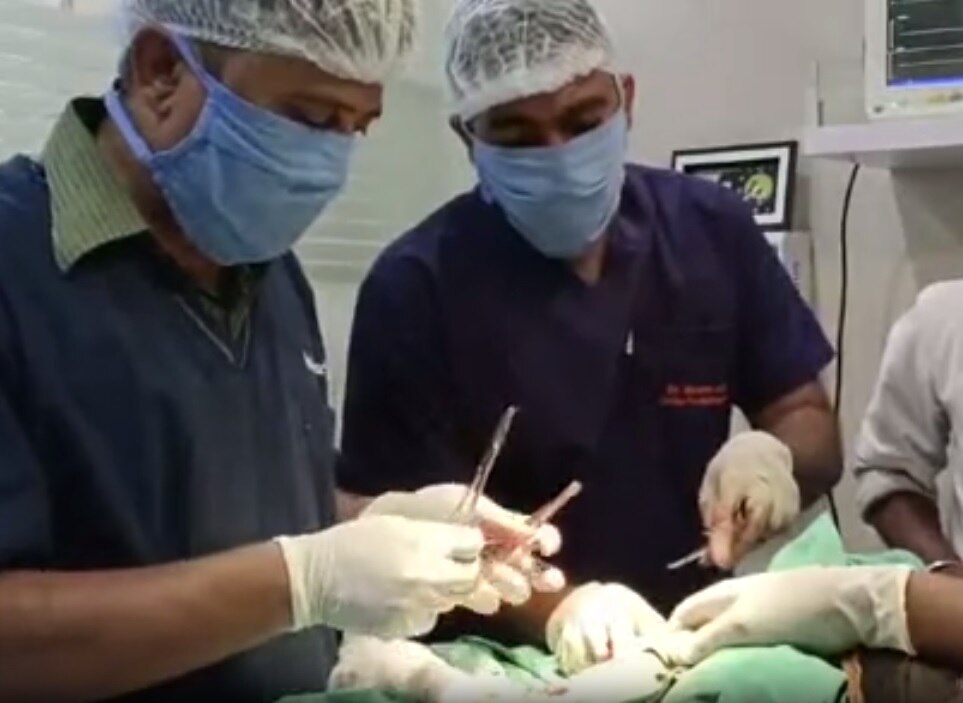 डॉक्टरांच्या प्रयत्नांमुळे मोर पुन्हा आकाशात झेप घेणार; पायावर यशस्वी शस्त्रक्रिया