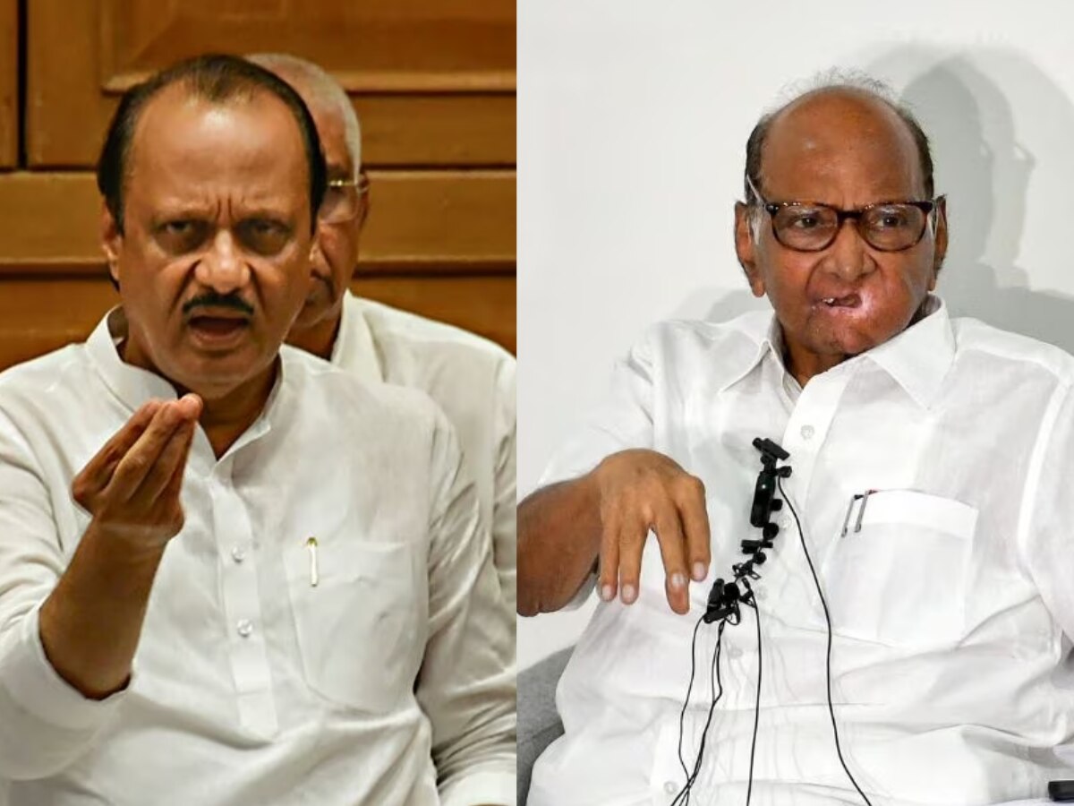 Maharastra Politics : शरद पवारांच्या सभांना दादा देणार उत्तर; कोंडी करण्यासाठी अजित पवारांची नवी स्ट्रॅटेजी!