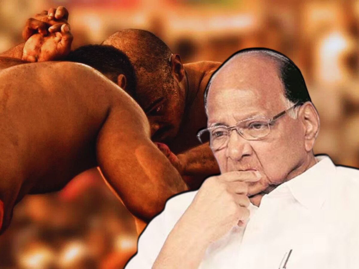 Sharad Pawar avoided in Maharashtra Kesari kusti competition, Amit Shah will be the chief guest, Maharastra Politics Sharad Pawar avoided in Maharashtra Kesari kusti competition, Amit Shah will be the chief guest, Maharastra Politics