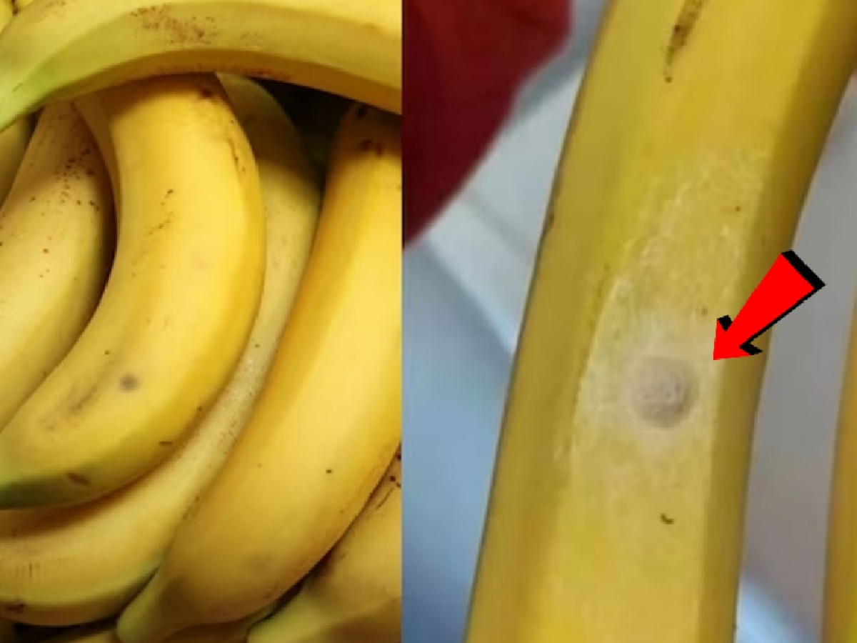 चुकूनही खाऊ नका पांढरा डाग पडलेलं केळं; यामागील कारण वाचून येईल किळस title=