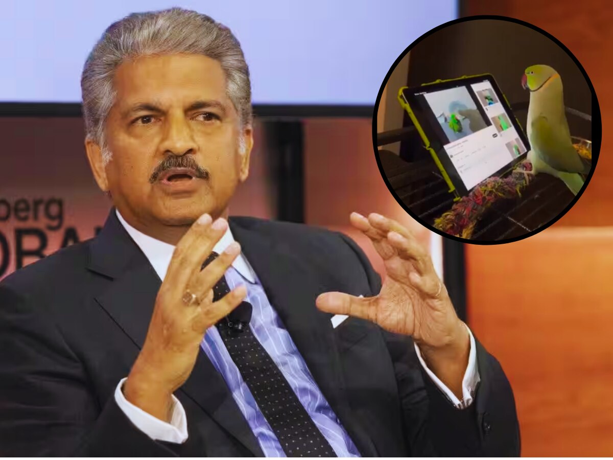 Anand Mahindra Share Video Of Parrots Who Understand Touch Screens Viral News In Marathi 6458