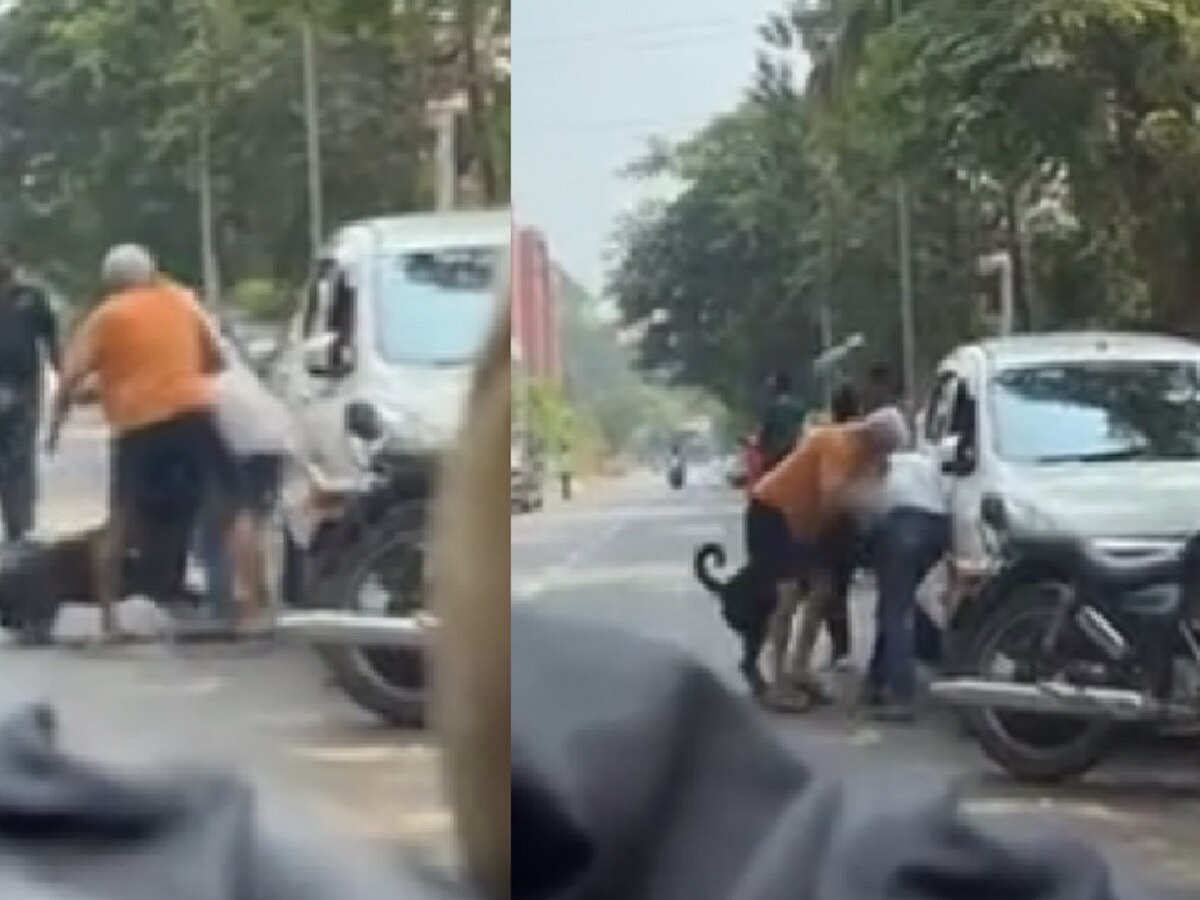 ही कोणती पद्धत भांडण करण्याची? पिता पुत्रांनी कार चालकाच्या अंगावर सोडला कुत्रा