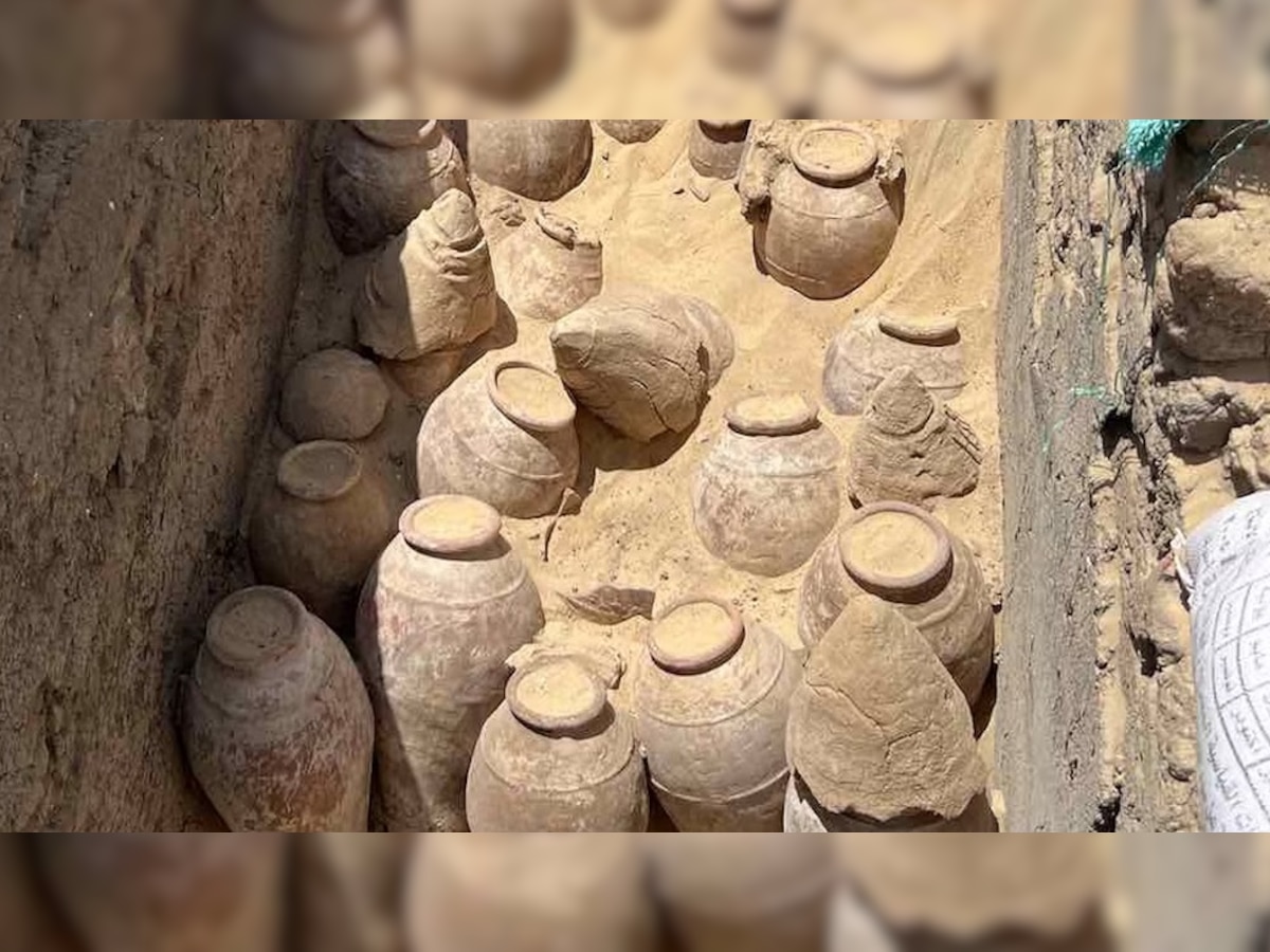 इजिप्तच्या मातीत सापडल्या 5000 वर्ष जुन्या वाईनच्या बाटल्या! पाहा कशा दिसतात... title=