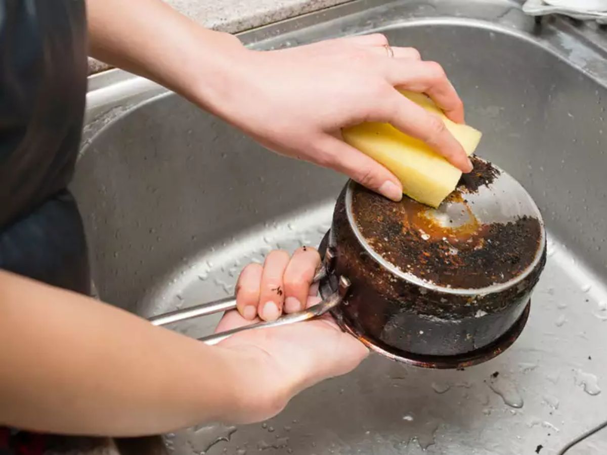 kitchen tips in marathi smart uses of garlic peels in kitchen