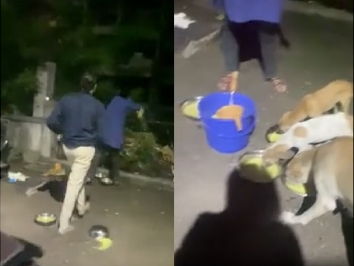 कुत्र्यांच्या पुढ्यातून अन्न उचलून फेकले; पोलिस महिलेची महिलेवरच दादागिरी