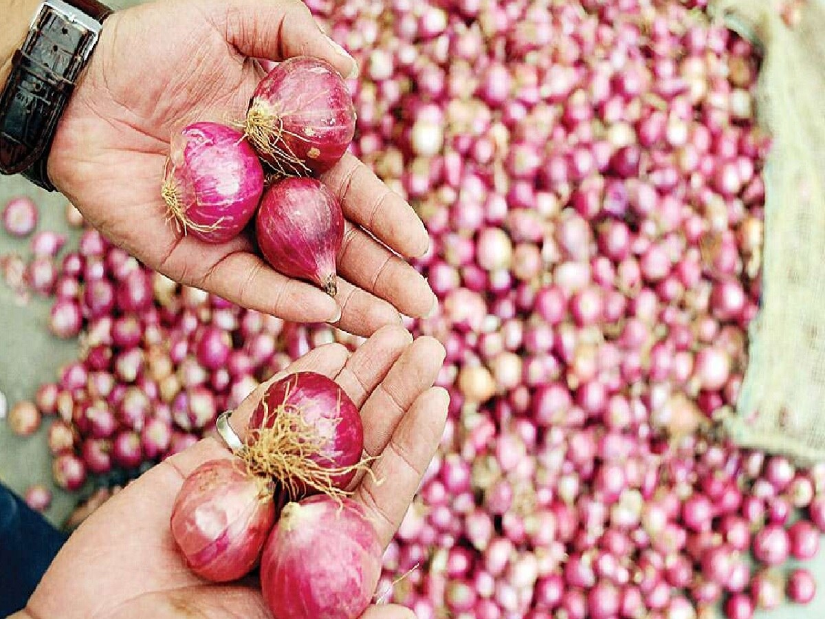 30 वरुन डायरेक्ट 90 रुपये किलो; कांद्याचे दर अचानक इतके कसे वाढले?