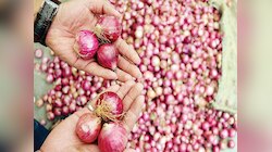 30 वरुन डायरेक्ट 90 रुपये किलो; कांद्याचे दर अचानक इतके कसे वाढले?