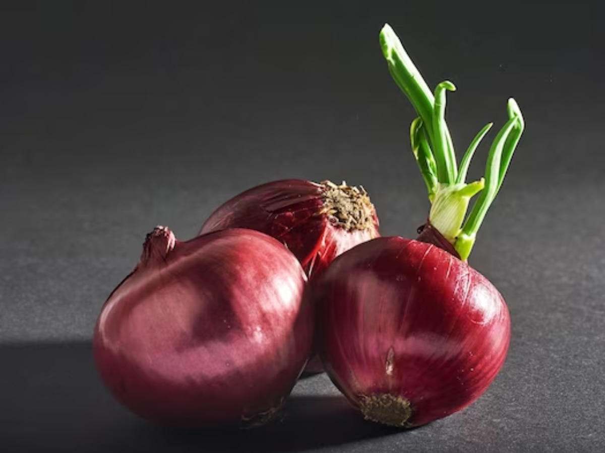 Onion Alternative in the kitchen Tips Marathi News