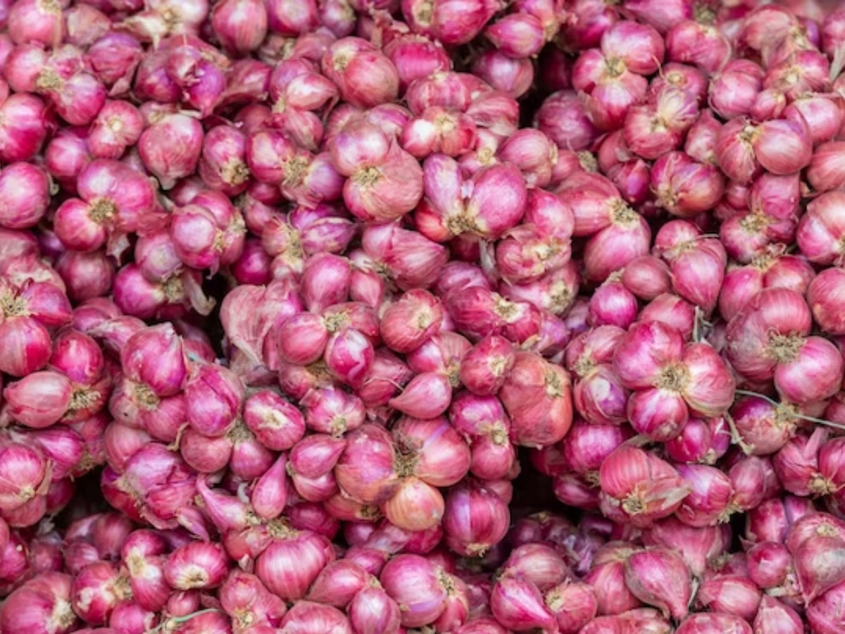 Onion Alternative in the kitchen Tips Marathi News