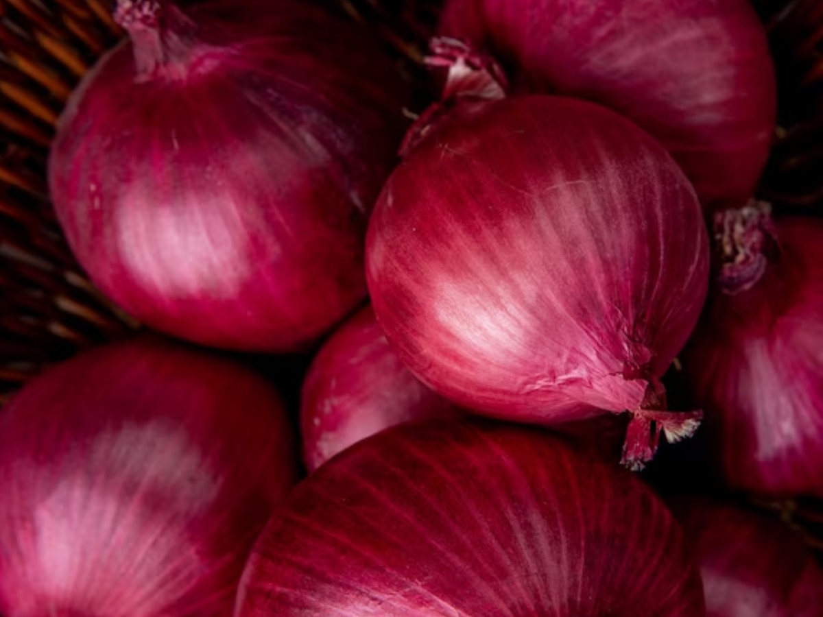 Onion Alternative in the kitchen Tips Marathi News