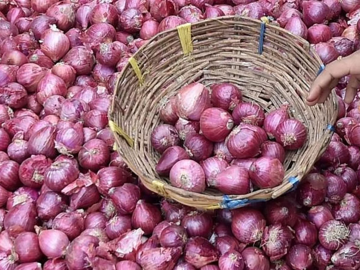 दिवाळीत कांद्याचे भाव कमी होणार? सरकारने घेतला महत्त्वाचा निर्णय