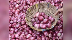 दिवाळीत कांद्याचे भाव कमी होणार? सरकारने घेतला महत्त्वाचा निर्णय