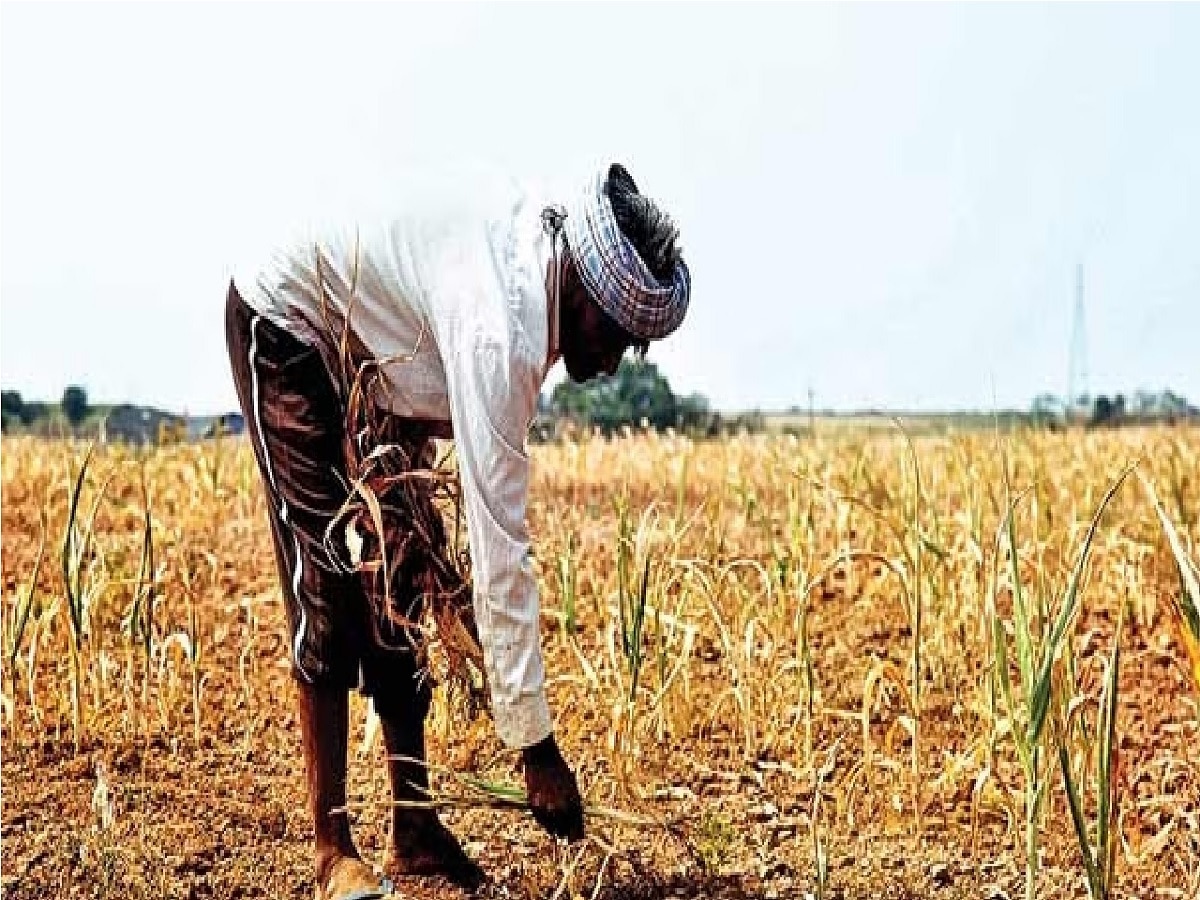 महाराष्ट्रावर मोठ संकट; राज्यातील 40 तालुक्यात दुष्काळ जाहीर