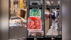 पॅलेस्टाइन समर्थकाने McDonald मधे सोडले शेकडो उंदीर अन् नंतर...; VIDEO व्हायरल