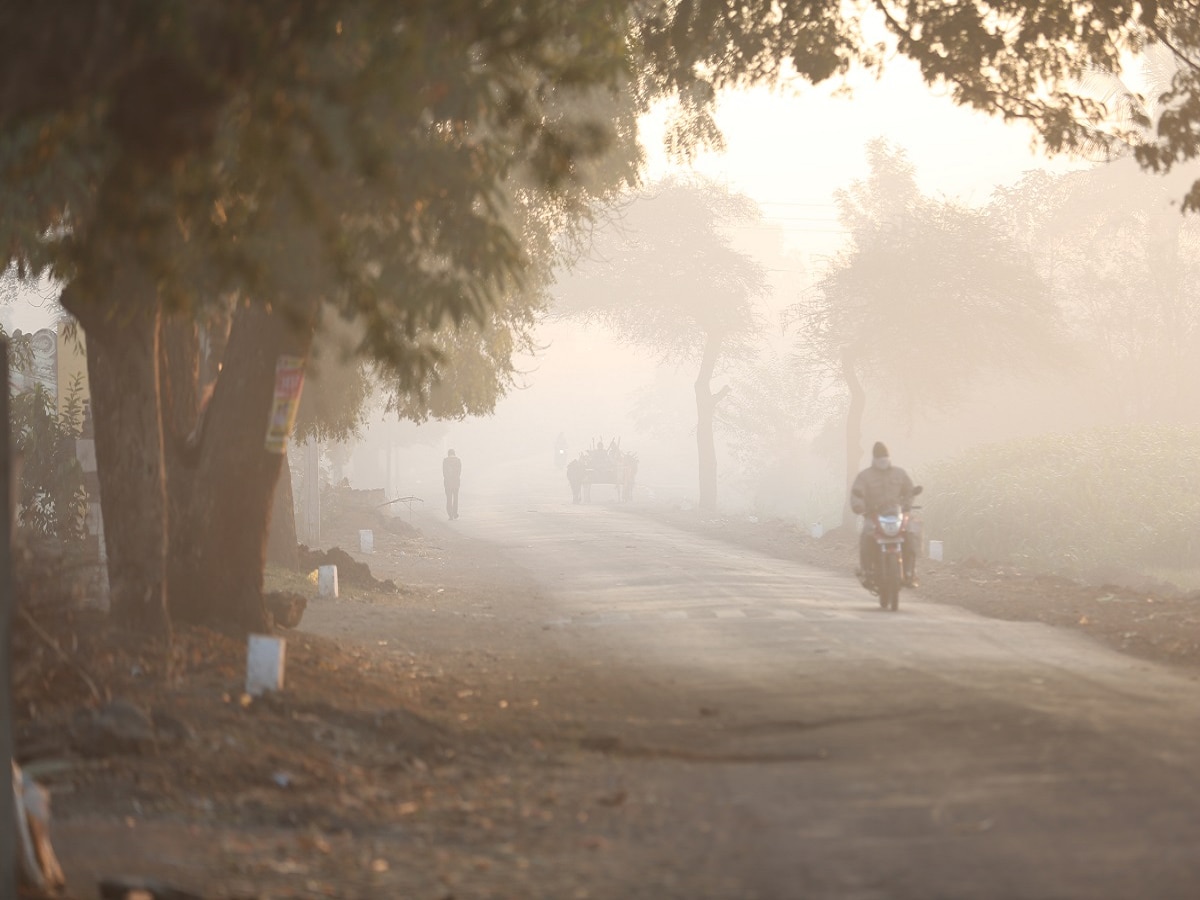 Weather Update : पुण्यापासून जळगावपर्यंत… महाराष्ट्र गारठला; महाबळेश्वरकडे वळले पर्यटकांचे पाय