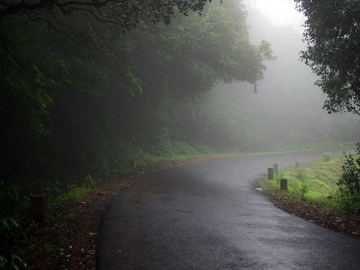 Weather Update : विकेंड गाजवणार गुलाबी थंडी; 'इथं' मात्र पाऊस ठरणार न बोलवताच आलेला पाहुणा  title=