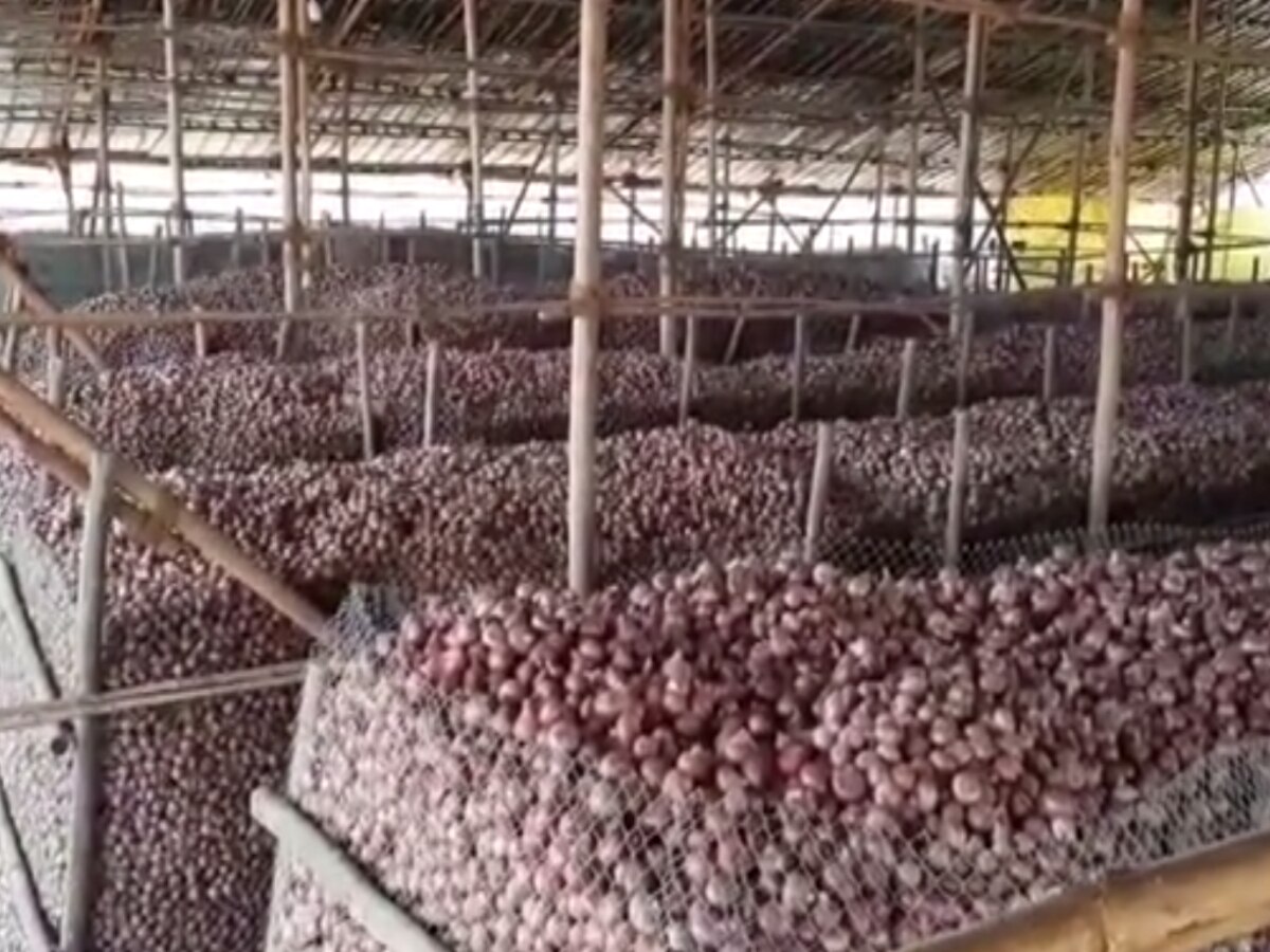 दुष्काळात 13वा महिना! विक्रीसाठे ठेवलेले साडेपाच लाखांचे कांदे चोरट्यांनी लांबवले दुष्काळात 13वा महिना! विक्रीसाठे ठेवलेले साडेपाच लाखांचे कांदे चोरट्यांनी लांबवले