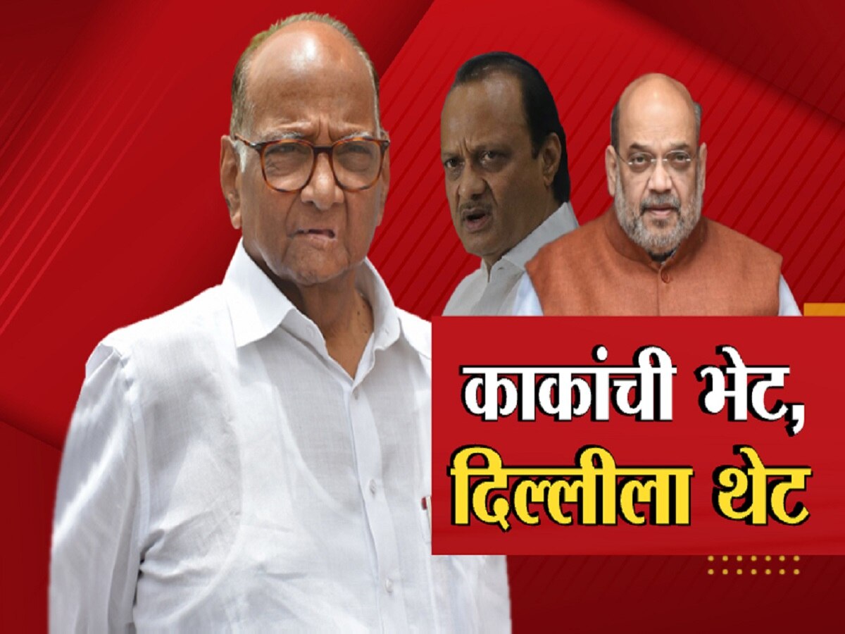 शरद पवारांची भेट घेतल्यानंतर अजित पवारांनी थेट दिल्ली गाठून अमित शाहांची भेट का घेतली?