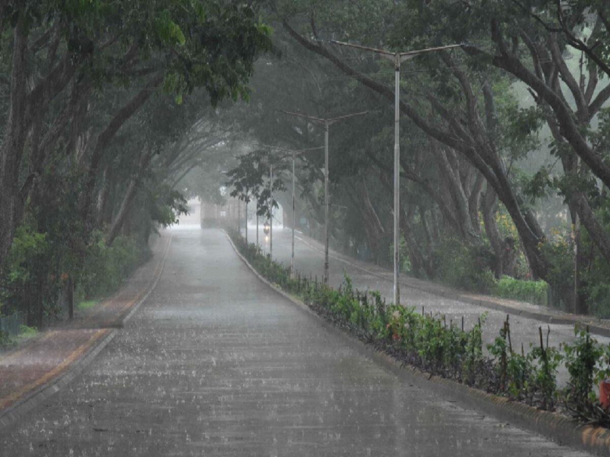 Maharashtra Weather : पावसानं चिंब भिजणार राज्यातील 'हे' जिल्हे; अवकाळीमुळं महाराष्ट्रात पावसाळी दिवाळी  title=