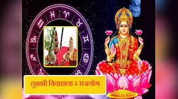 Tulsi Vivah Rajyog : यंदा तुळशी विवाह ठरणार शुभ! 4 राजयोग 'या' राशींवर करणार धनवर्षाव