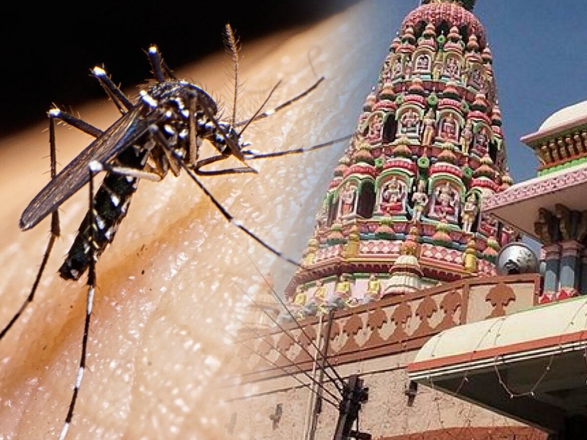Zika Virus Outbreak In Pandharpur before Kartiki Ekadashi Health Department On Alert Mode News in Marathi