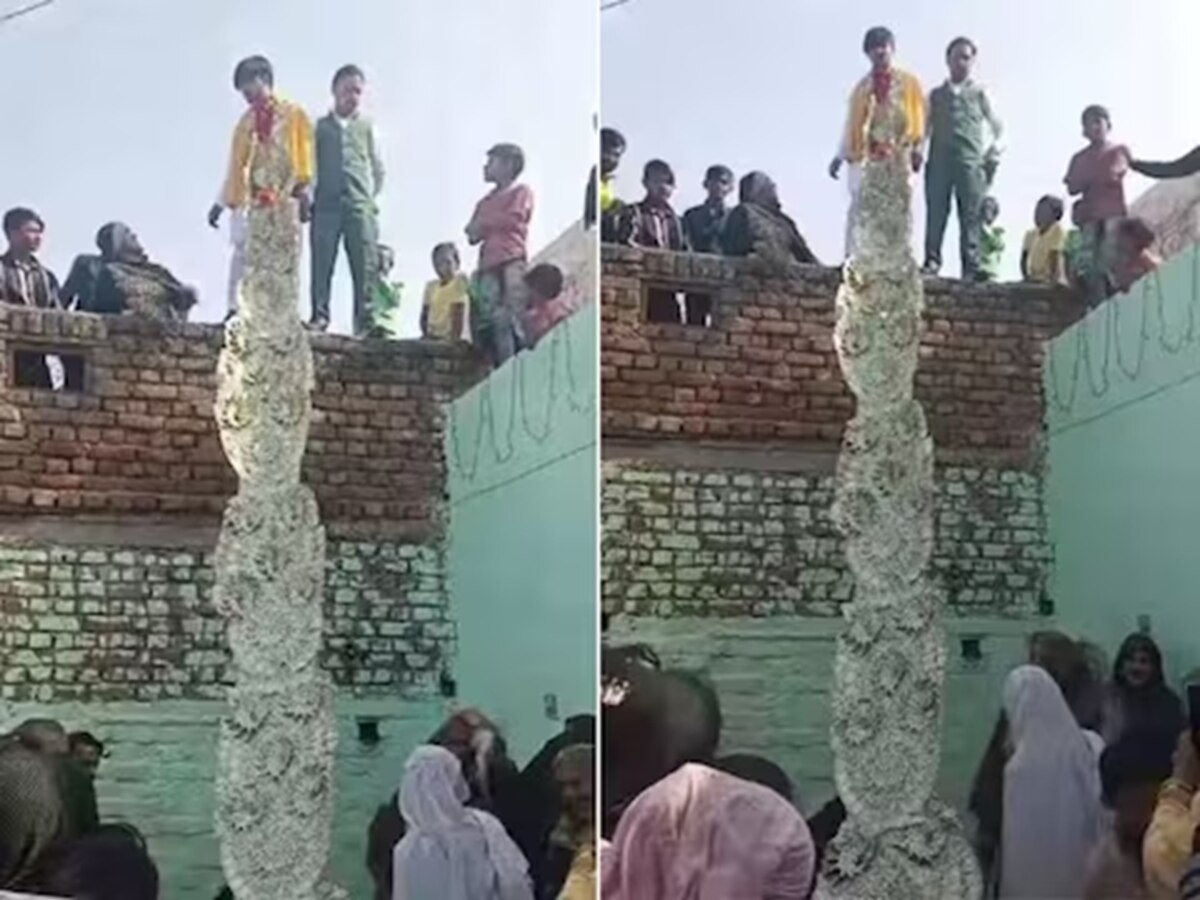 Viral Video : अबब! 20 लाखांचा हार घालून नवरदेव चढला छतावर, हाराची लांबी पाहून डोक्याला माराल हात title=