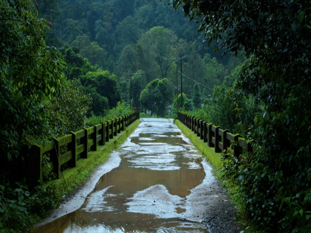Weather Update : राज्याच्या ‘या’ भागांना पुढील 48 तासांसाठी पावसाचा इशारा; वादळी वारेही घोंगावणार