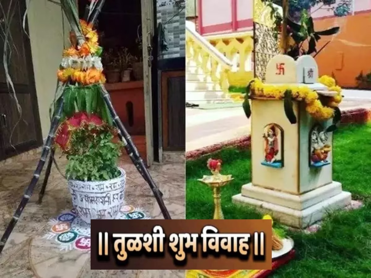 Tulsi Vivah VIDEO घरच्या घरी तुळशी विवाह कसा करावा? संपूर्ण पूजाविधी