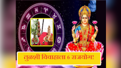 Rajyog Tulsi Vivah : तुळशी विवाह षडाष्टक, गजकेसरीसह 6 राजयोग! 'या' राशींना मालामाल होण्याची संधी