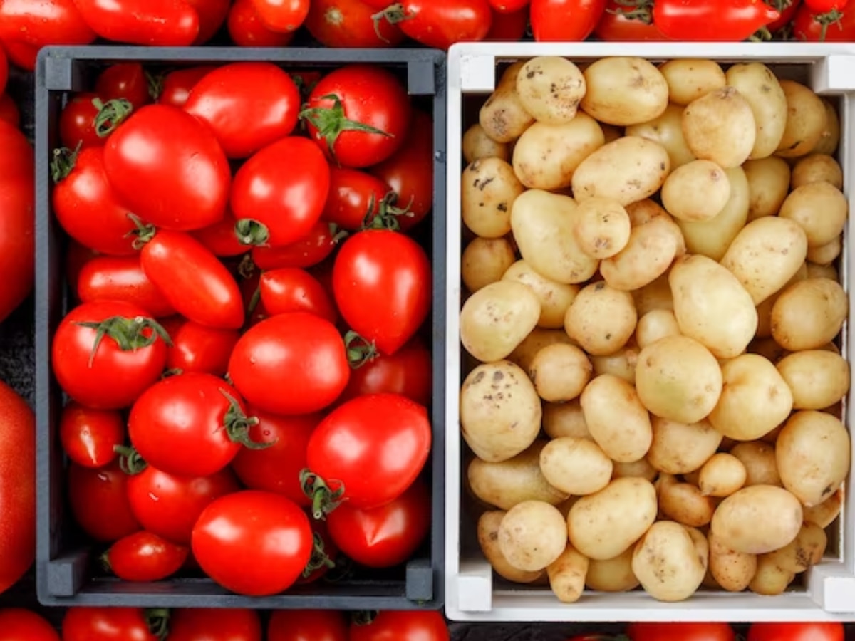 Tomato kept in fridge is poisonous many health problems if eaten Health Tips