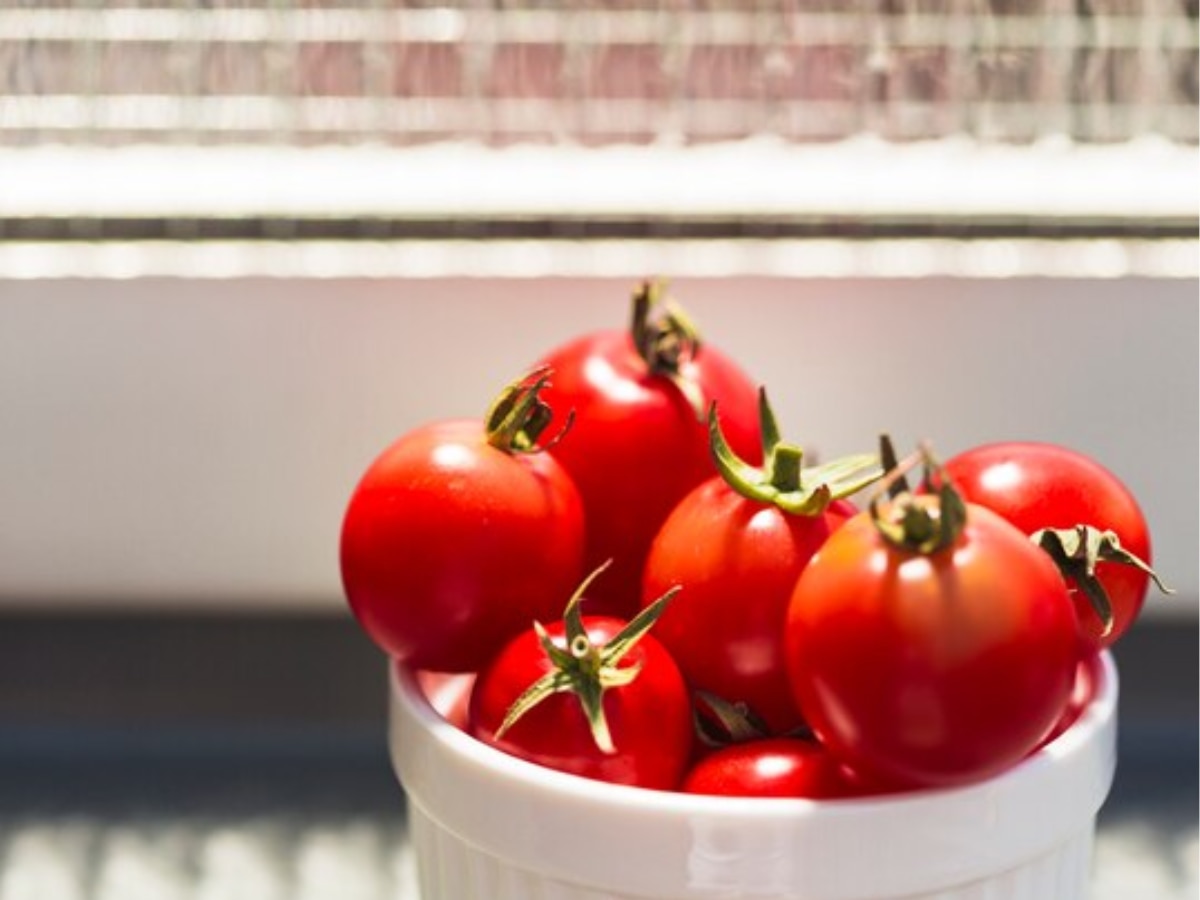 Tomato kept in fridge is poisonous many health problems if eaten Health Tips