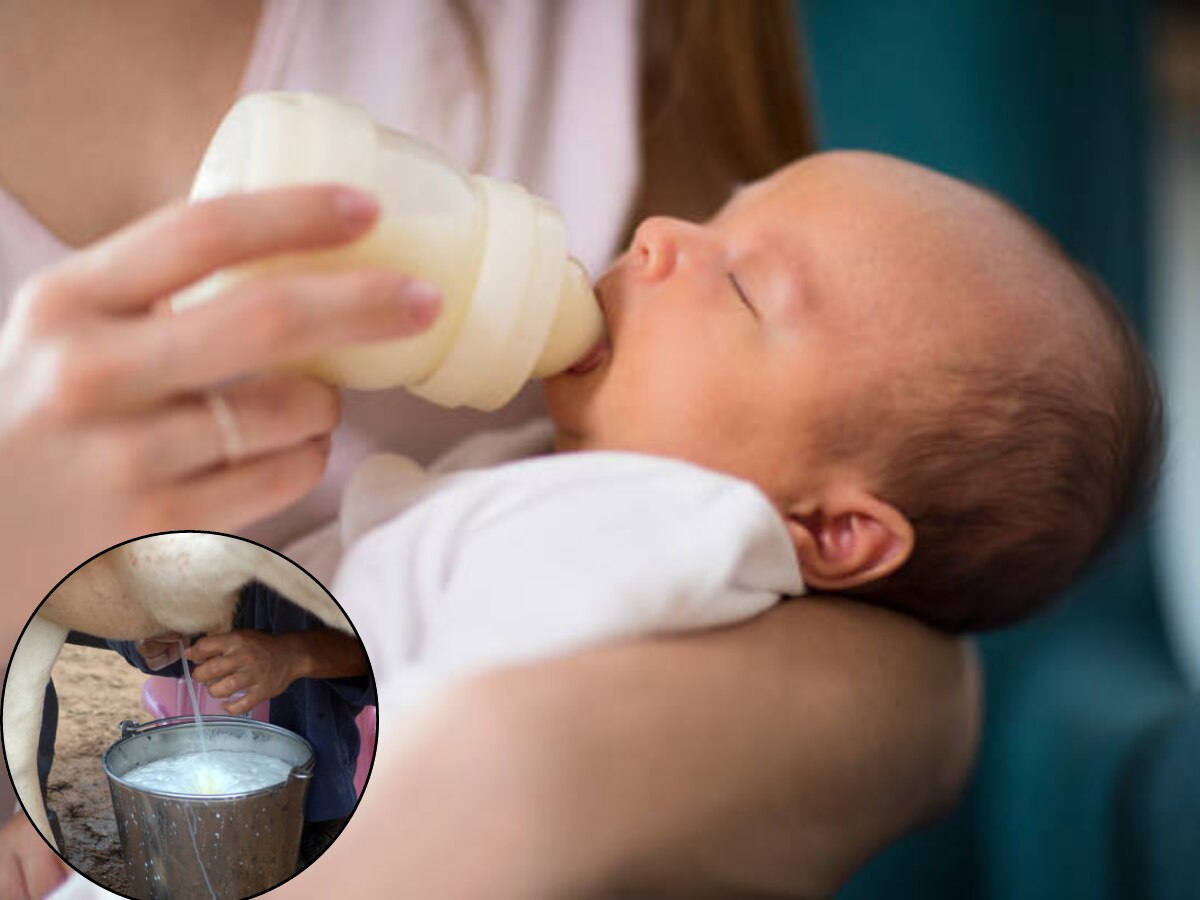 Cow Milk For Baby : तान्हुल्याला अजिबात देऊ नका गाईचं दूध, डॉक्टरांनी सांगितली यामागची 5 कारणं title=