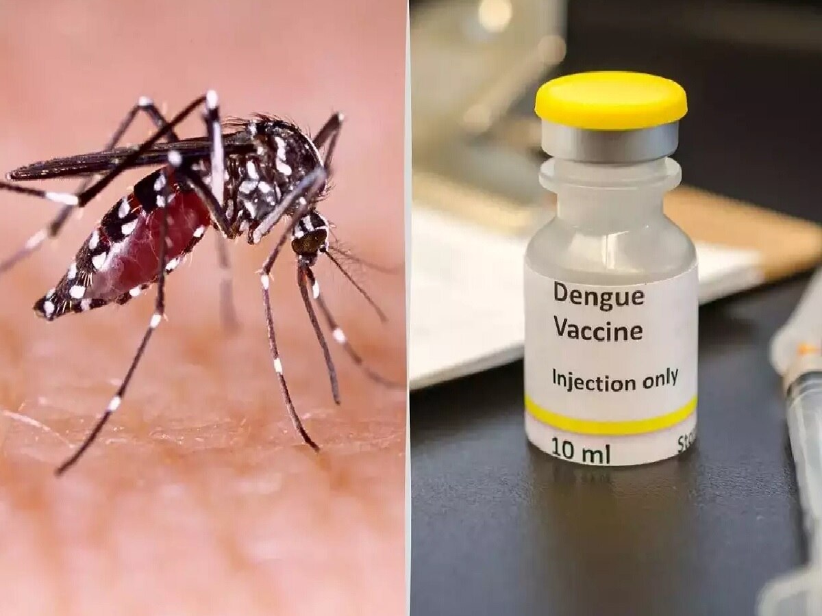 डेंग्यूची लस लवकरच बाजारात; 10 हजारांहून अधिक लोकांवर लसीची चाचणी title=