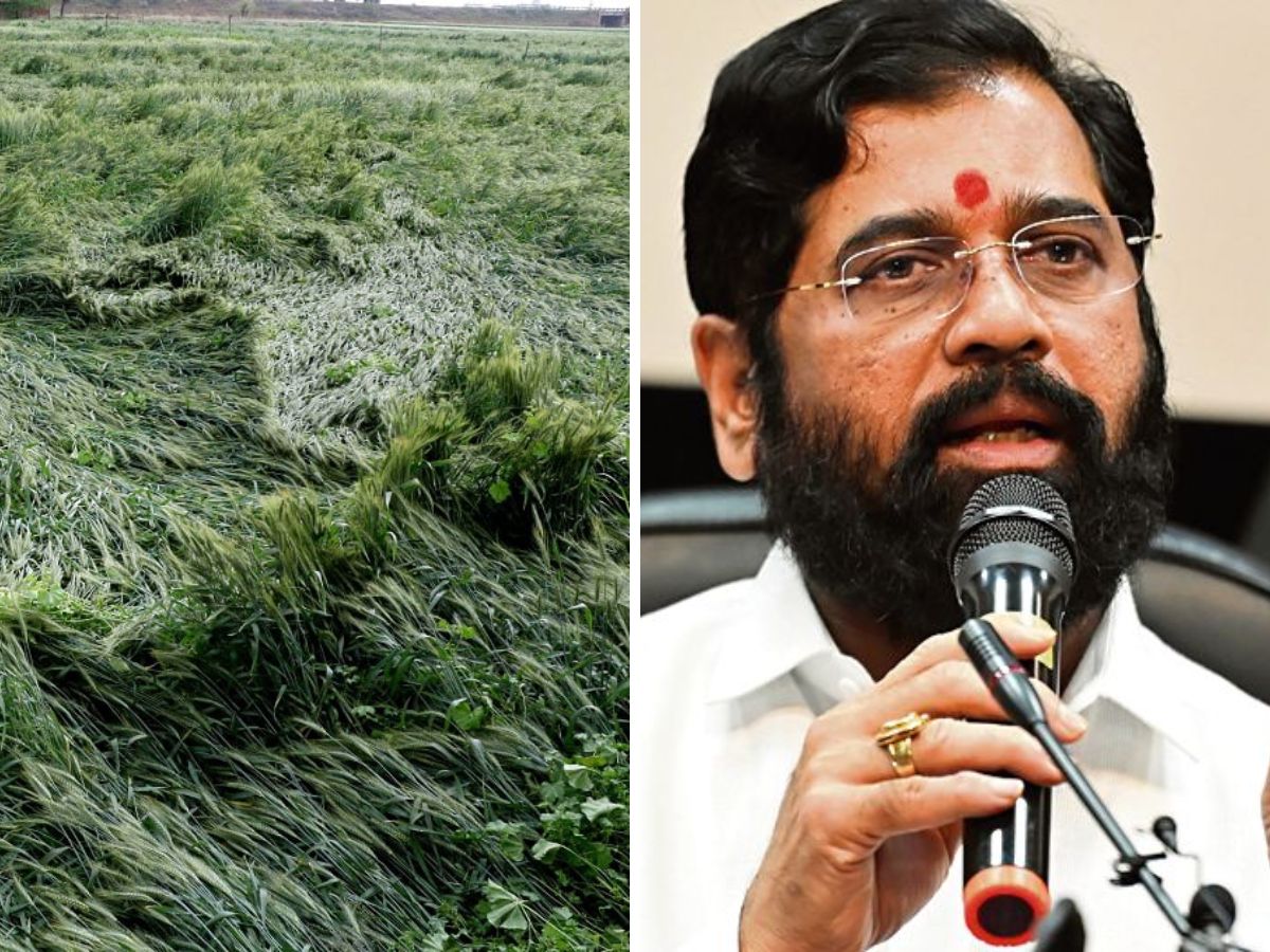 महाराष्ट्रावर अवकाळीचे संकट, शेतकऱ्यांसाठी राज्य सरकारचा मोठा निर्णय, 3 हेक्टरपर्यंत…