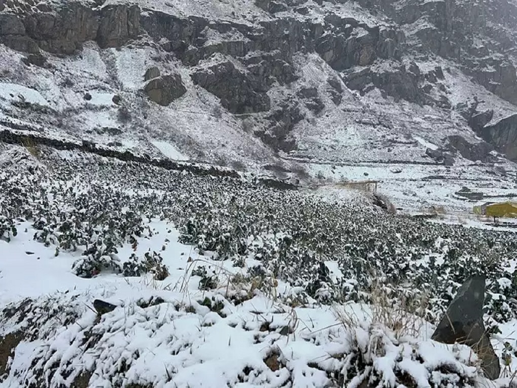 Himachal Pradesh Weather Manali Lahaul Spiti snowfall Photos 