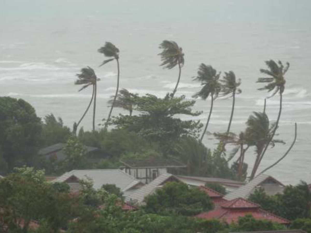 Maharashtra Weather : 'मिचाँग' चक्रीवादळाचा महाराष्ट्राला फटका, पुढील 2 दिवस पावसाचं संकट title=