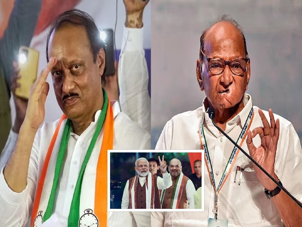 देशाला नरेंद्र मोदींशिवाय पर्याय नाही, अजित पवारांचं विधान; शरद पवार म्हणाले ‘यापेक्षा वेगळा काय…’