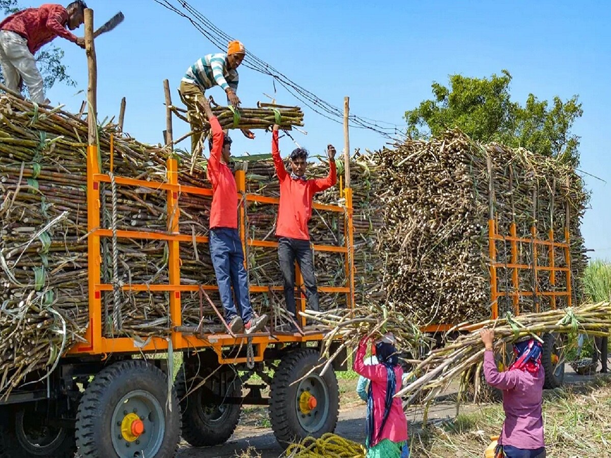 बळीराजाच्या आनंदावर विरजण! ऊसाच्या रसापासून इथेनॉलची निर्मिती करण्यावर बंदी title=