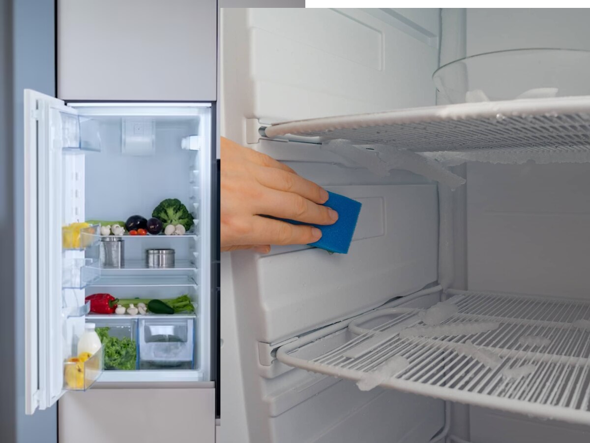 How To Remove Ice From Freezer Marathi News;हिवाळ्यात फ्रीजमध्ये