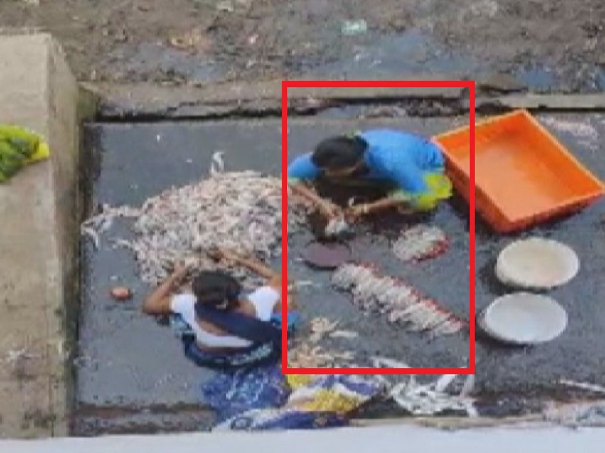 तुमच्या ताटातले बोंबील शिळे? ताजे दिसायला लावला जातोय रंग; विरारमधील व्हिडिओ व्हायरल