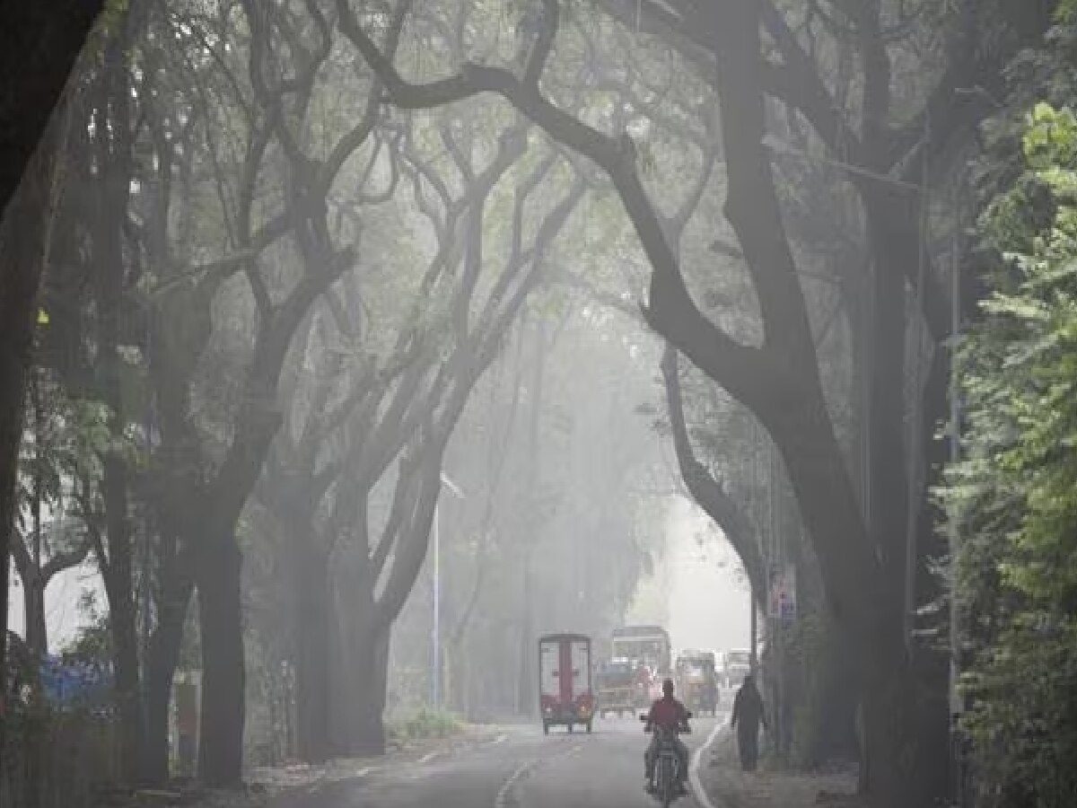 Maharashtra Weather News: दिवसा उकाडा, रात्री गारठा...; मुंबईसह राज्यात 'या' दिवशी वाढणार थंडी title=