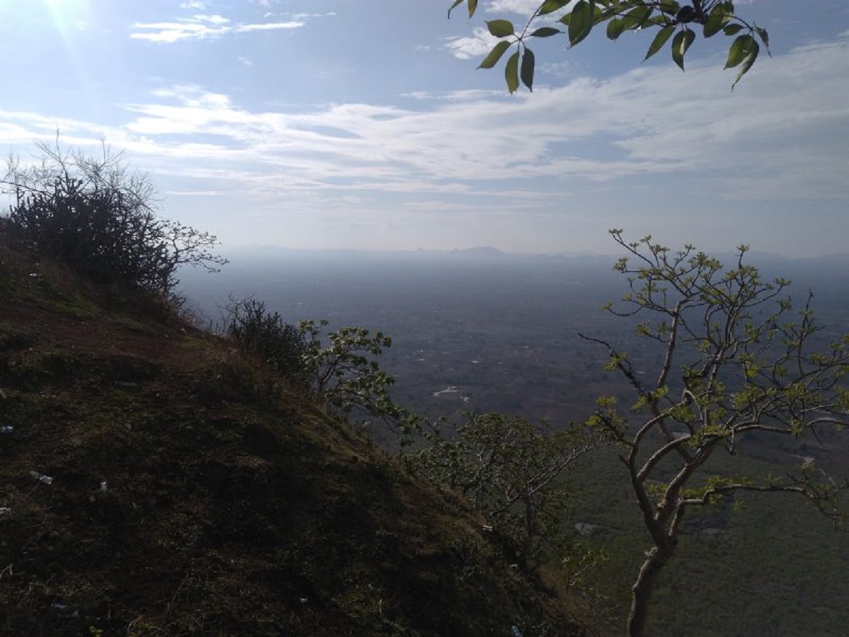 Weather Updates : उत्तर भारतातील शीतलहरींनी देश गारठला, राज्यातही पारा 11 अंशांवर; मुंबई मात्र अपवाद  title=