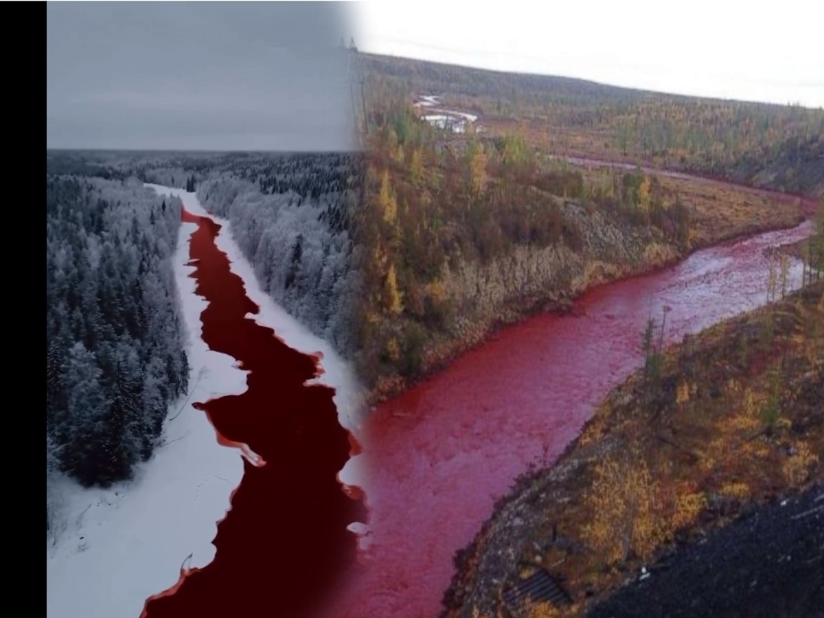 Video : ....अन् नदीचं पाणी रहस्यमयीरित्या रक्तासारखं लाल झालं; पाहून उडतोय थरकाप title=