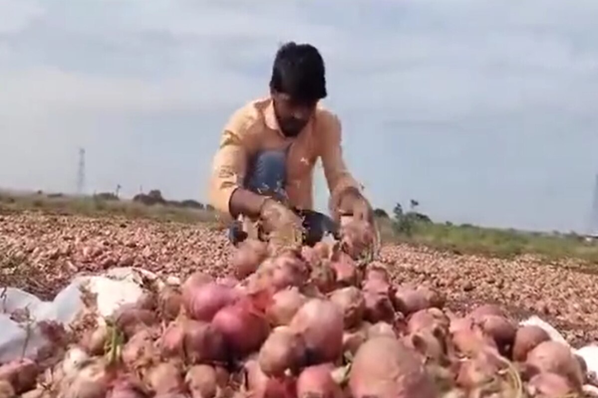 शेतकऱ्यापुढे नवं संकटं; कांदा विकण्यासाठी द्यावे लागतायत खिशातले पैसे