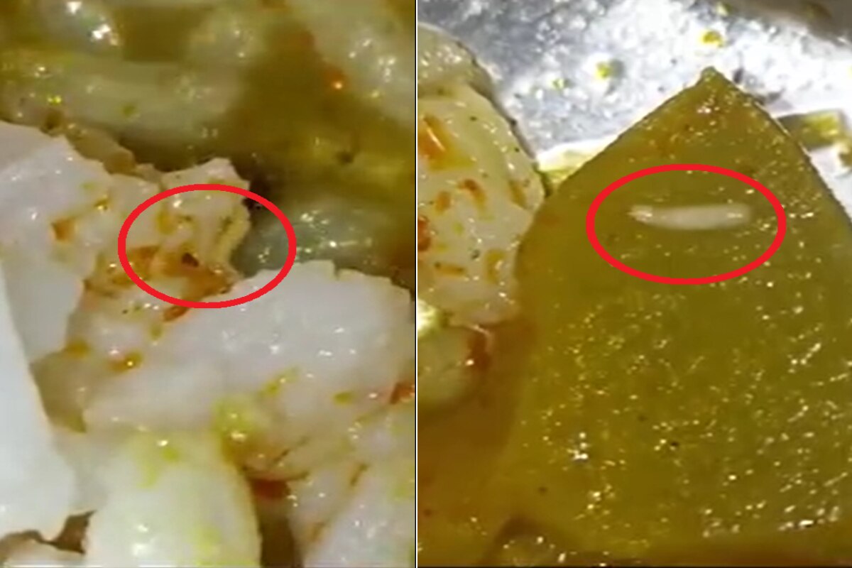 शासकीय रुग्णालयाच्या जेवणात जिवंत अळ्या; तक्रार करताच रुग्णाला दिले हाकलून