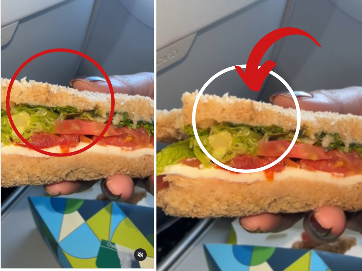 IndiGo Flight मध्ये महिलेला सँडविजमध्ये सापडले किडे, एअरलाइनने दिलं उत्तर  title=