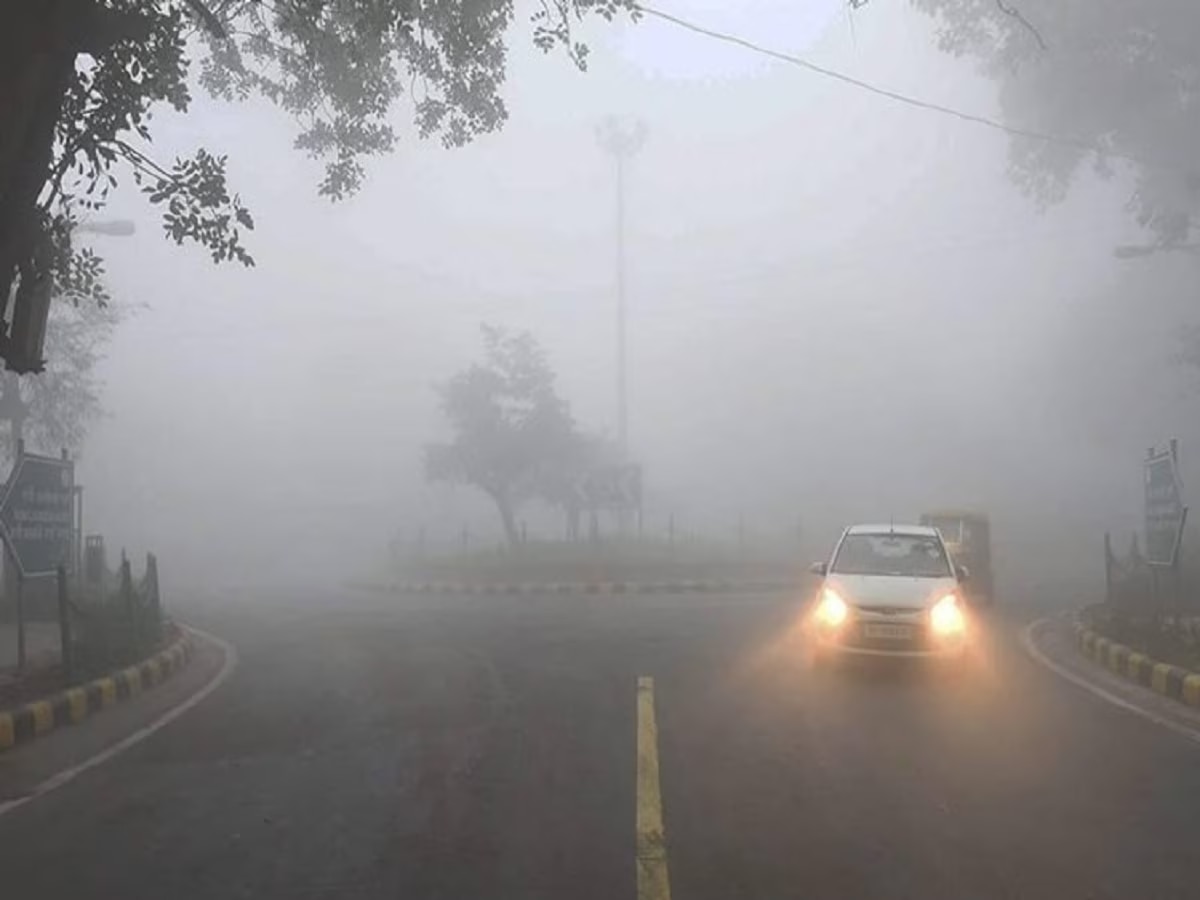 Maharashtra Weather : नव्या वर्षात वातावरणात पुन्हा बदल, थंडीचा काढता पाय.. ढगाळ वातावरण  title=